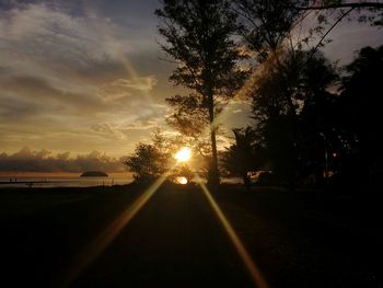 Silhouette trees by road against sky during sunset