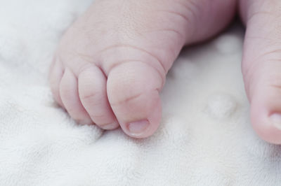 Low section of baby feet