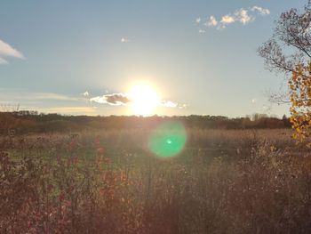 Scenic view of field against sky during sunset