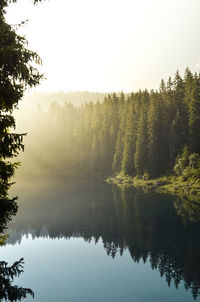 Scenic view of lake by trees against sky