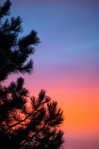 Low angle view of silhouette tree against sky during sunset