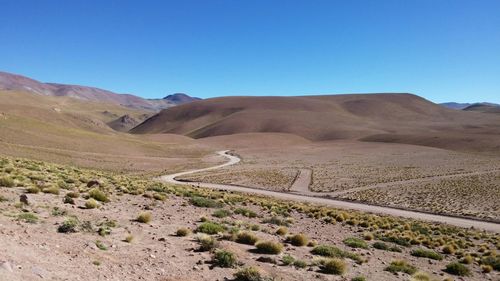 Scenic view of landscape against clear sky