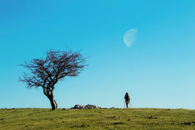 Scenic view of field against clear blue sky