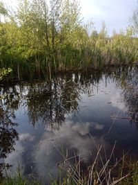 Scenic view of lake against sky