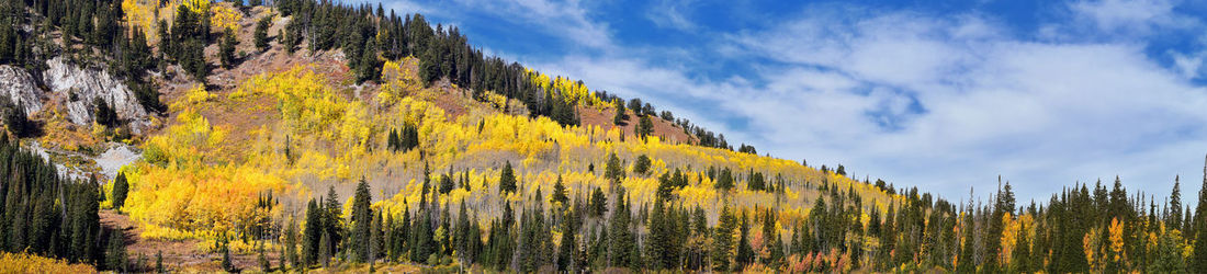 Silver lake by solitude big cottonwood canyon boardwalk trails  mountains wasatch front, utah, usa.