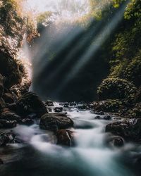 beauty in nature