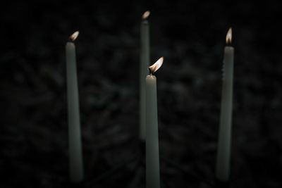 Close-up of lit candles in temple