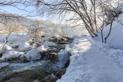 Frozen river against bare trees during winter