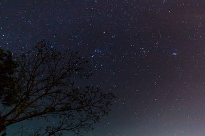 Low angle view of starry sky