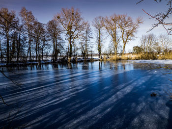 Bare trees by lake against sky during winter