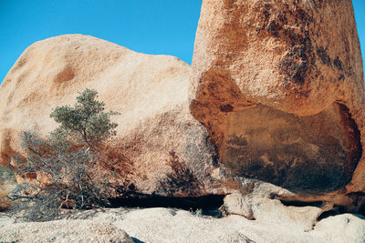 Close-up of blue wall