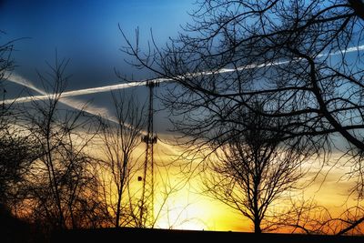 Silhouette tree against sky at dusk