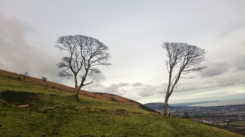 Bare trees on grassy field against cloudy sky