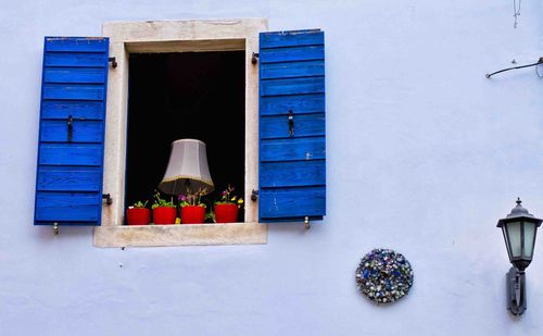 Potted plants on window of building