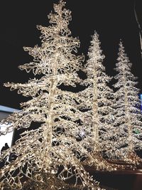 Low angle view of illuminated christmas tree at night