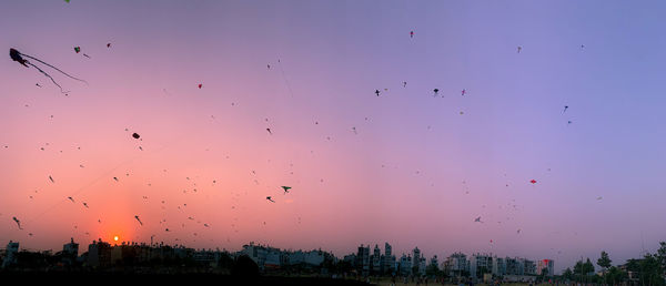 Flock of birds flying in sky