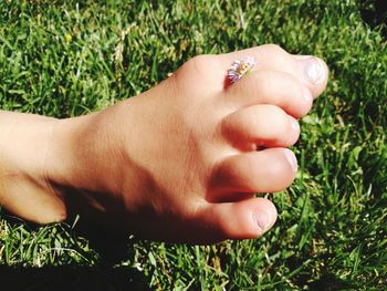 Close-up of woman hand on grass