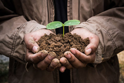 Midsection of person holding plant