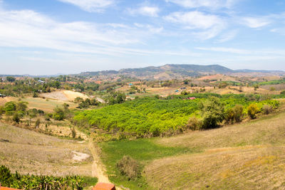 Scenic view of landscape against sky