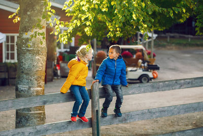 Friends talking while sitting on railing against tree