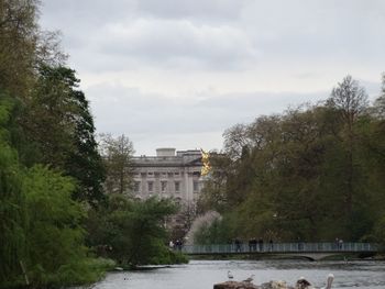 Trees along river with buildings in background