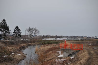 Reflection of trees in water