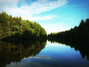 Reflection of trees in calm lake