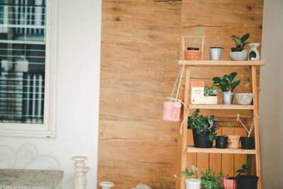 Potted plants at home