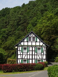 House with trees in background