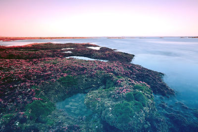 Scenic view of sea during sunset