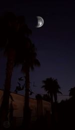 Low angle view of silhouette palm tree against moon at night