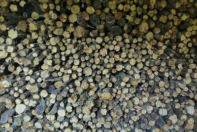 Full frame shot of cobblestone