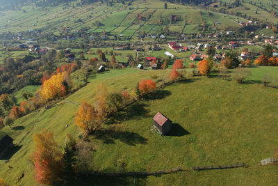 Scenic view of field by houses and trees