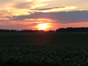 Scenic view of field against sky during sunset