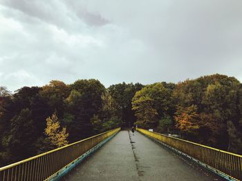 Person on bridge amidst autumn trees against sky