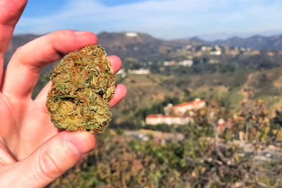 Close-up of hand holding marijuana against mountain