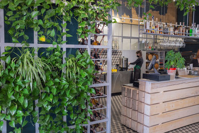 Potted plants in front of building