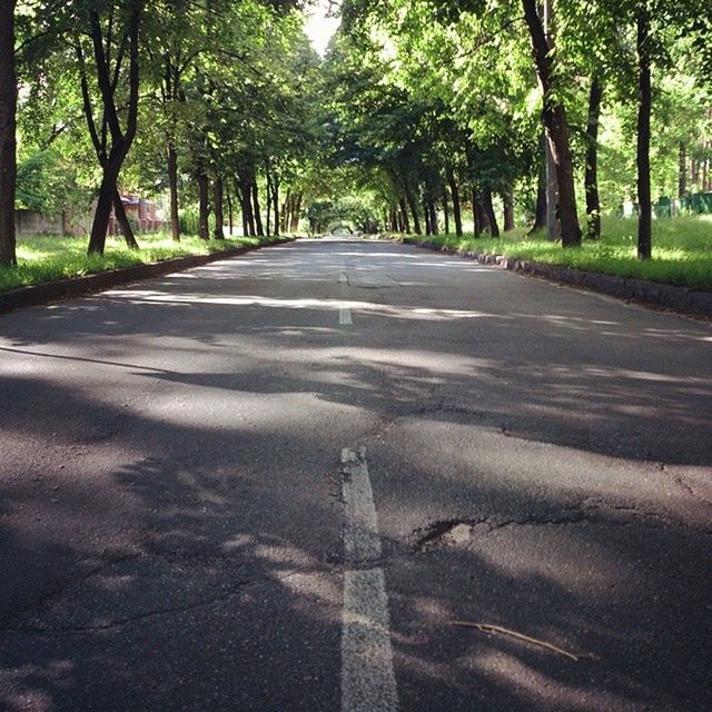 the way forward, tree, diminishing perspective, transportation, vanishing point, road, road marking, empty road, asphalt, treelined, empty, country road, tranquility, long, street, growth, nature, day, sunlight, tranquil scene