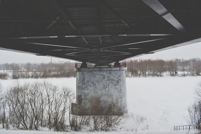 Built structure on snow covered tree