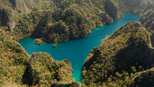 Aerial drone kayangan lake with blue water on tropical island coron. 