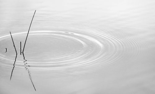 High angle view of rippled water in lake