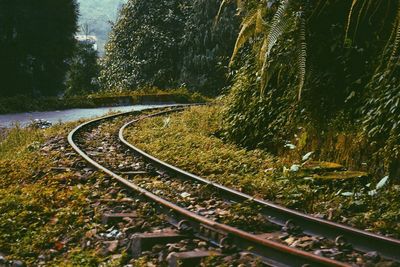 Railroad tracks by mountain