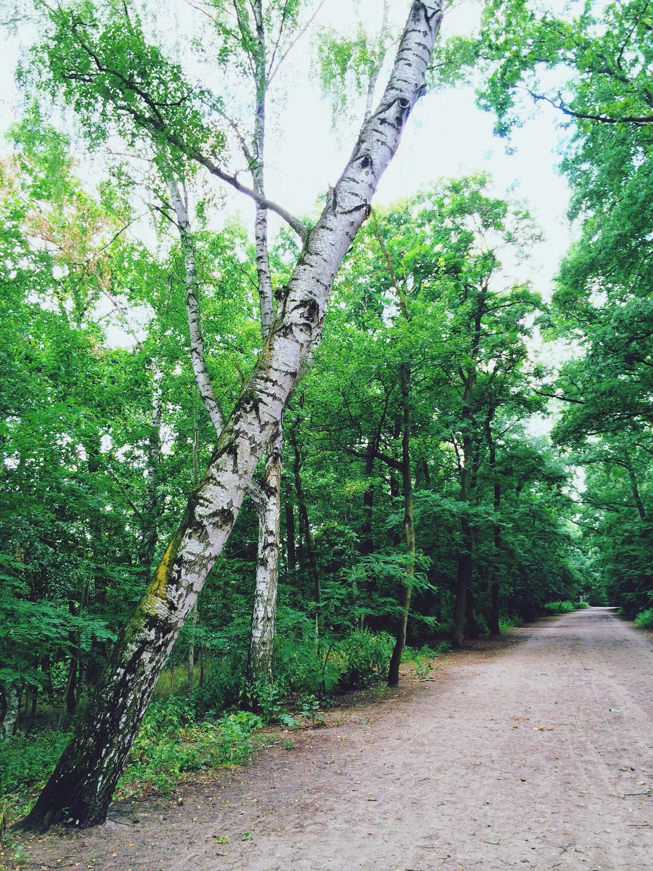 Grunewaldsee