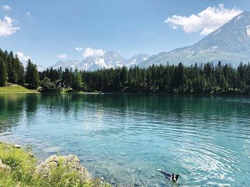 Scenic view of lake by trees against sky