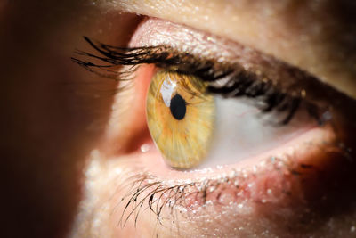 Extreme close up of human eye