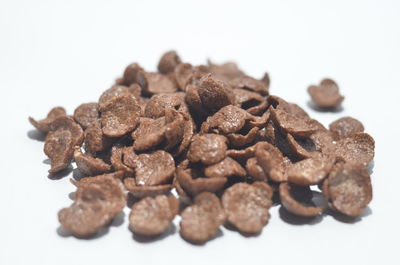 Close-up of chocolate cake