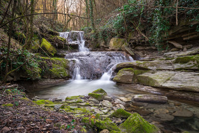 Scenic view of waterfall in forest