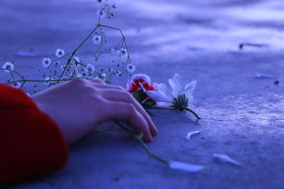 Close-up of hand holding flowering plant