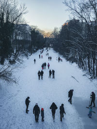 Dogs walking on snow covered landscape