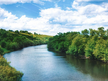 Scenic view of river amidst trees in forest against sky